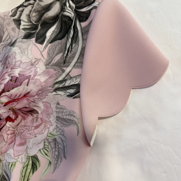 Ted Baker Pink Floral Palace Gardens Hailie Flare Dress Pockets Ted Size 0 US 2 - Picture 8 of 16